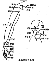 tѨλD̫Сc